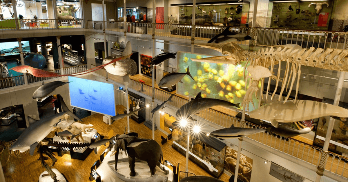 national museum of scotland