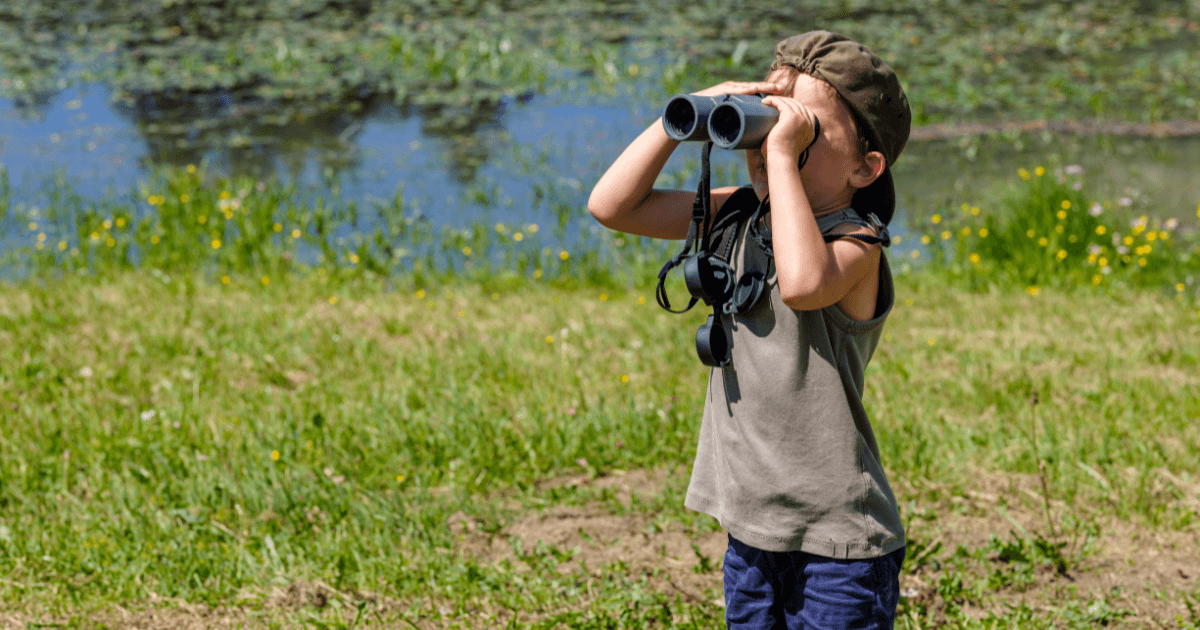 boy bird watching