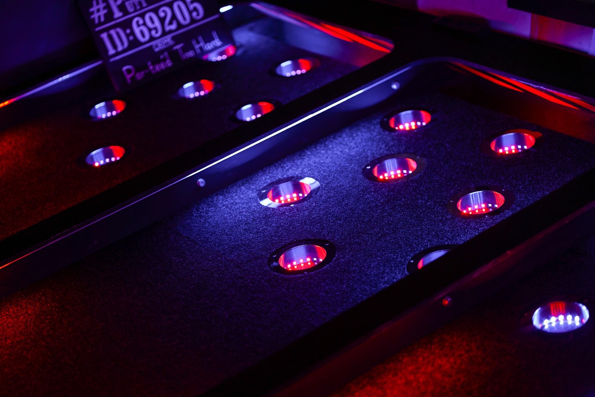 Prison Putt Crazy Golf Course