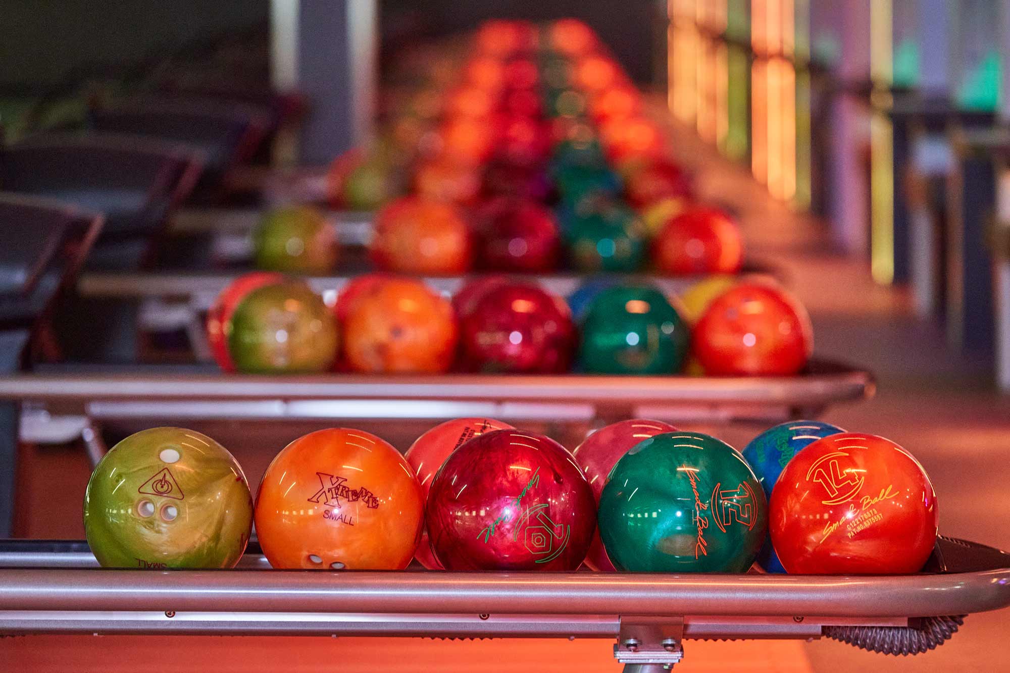 Dundee bowling retrievers